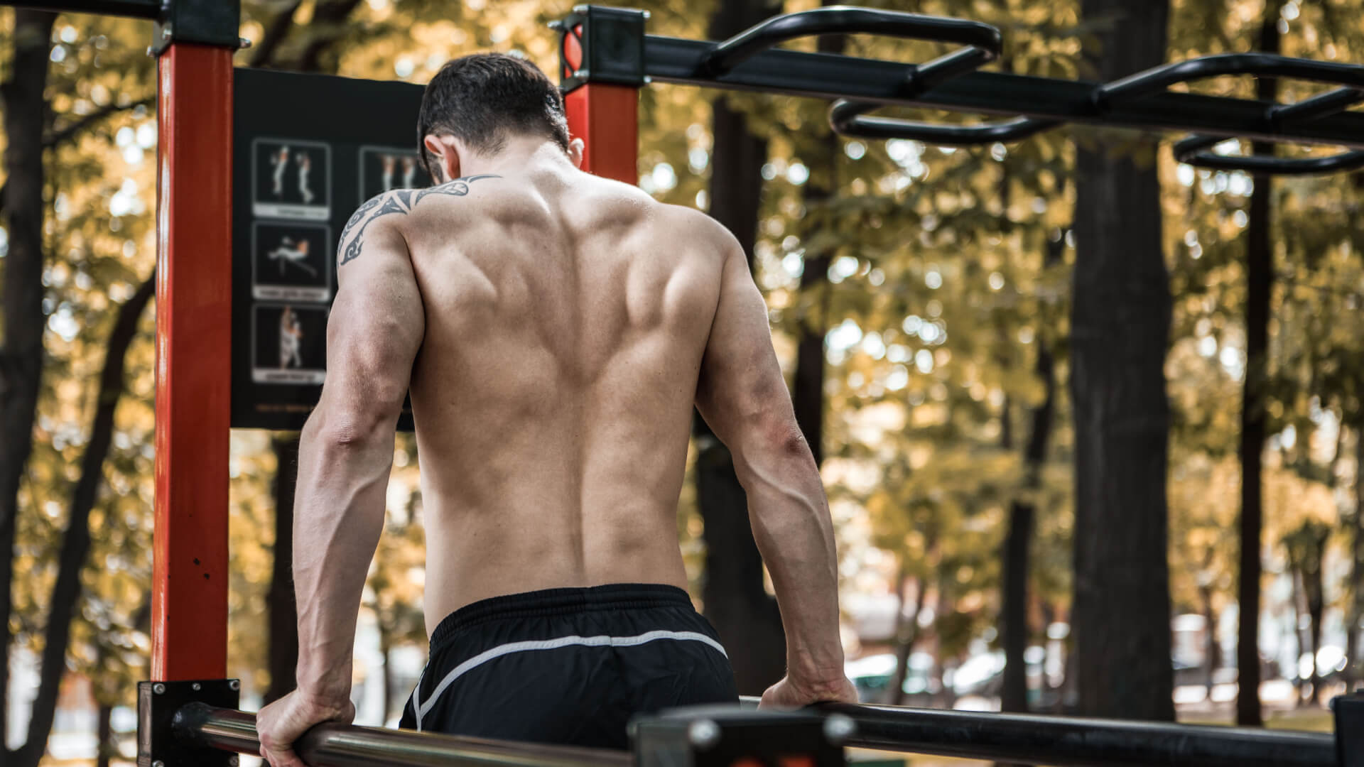 What Muscles Do Dips Work Most? Chest Dips, Tricep Dips & Variations