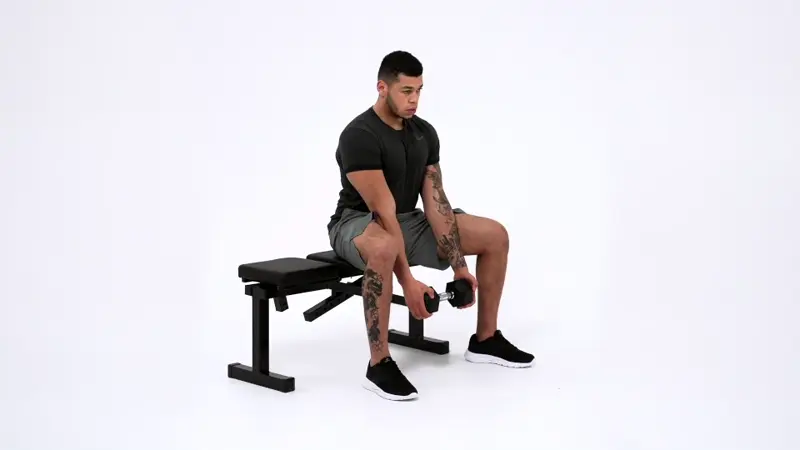 Seated Dumbbell Hip Hinge . Best glute exercises for bad knees