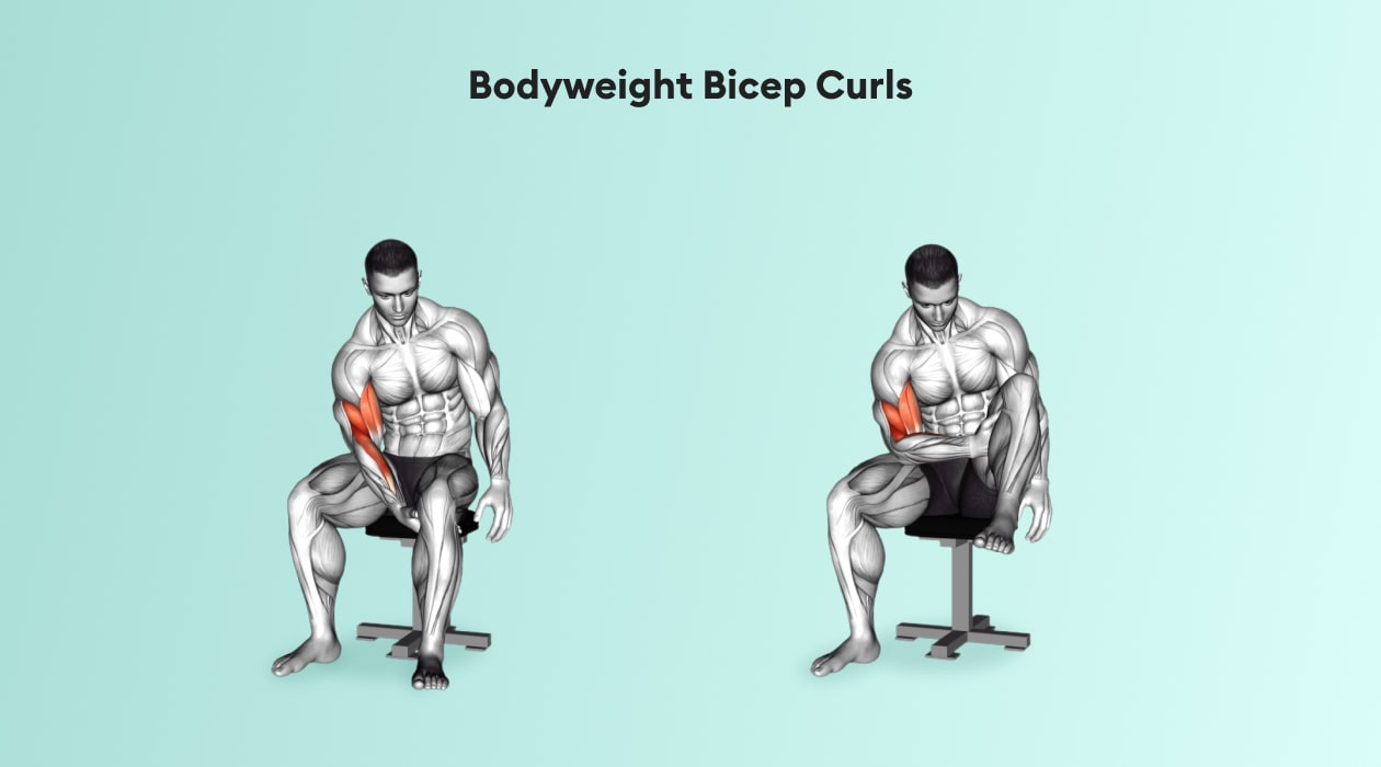 https://welltechdev.wpengine.com/wp-content/uploads/2022/08/bodyweight-bicep-curls-min.jpg
