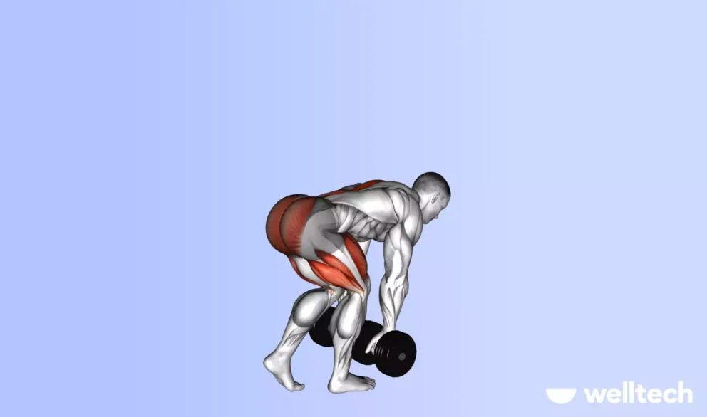 https://welltechdev.wpengine.com/wp-content/uploads/2024/12/Dumbbell-single-leg-deadlift-best-dumbbell-exercises-for-a-full-body-workout-992x586.webp