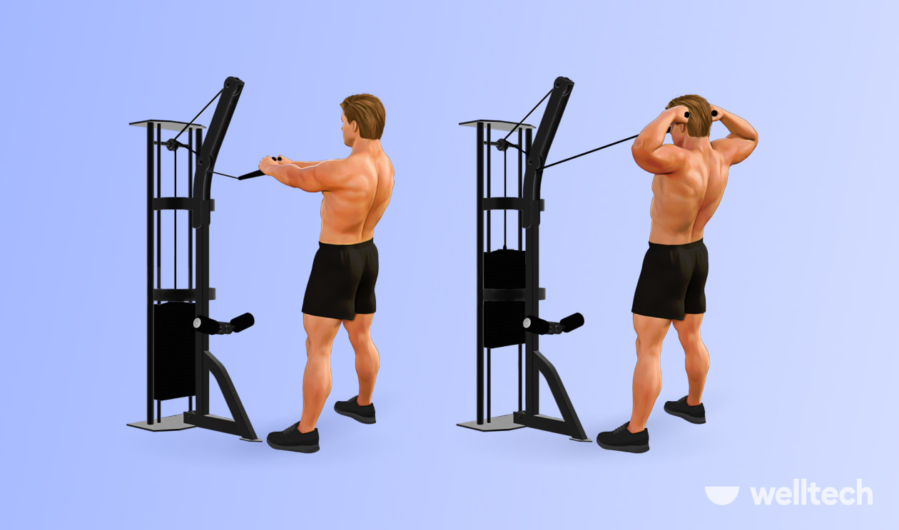 https://welltechdev.wpengine.com/wp-content/uploads/2022/08/Face-Pulls_back-cable-workout.jpg