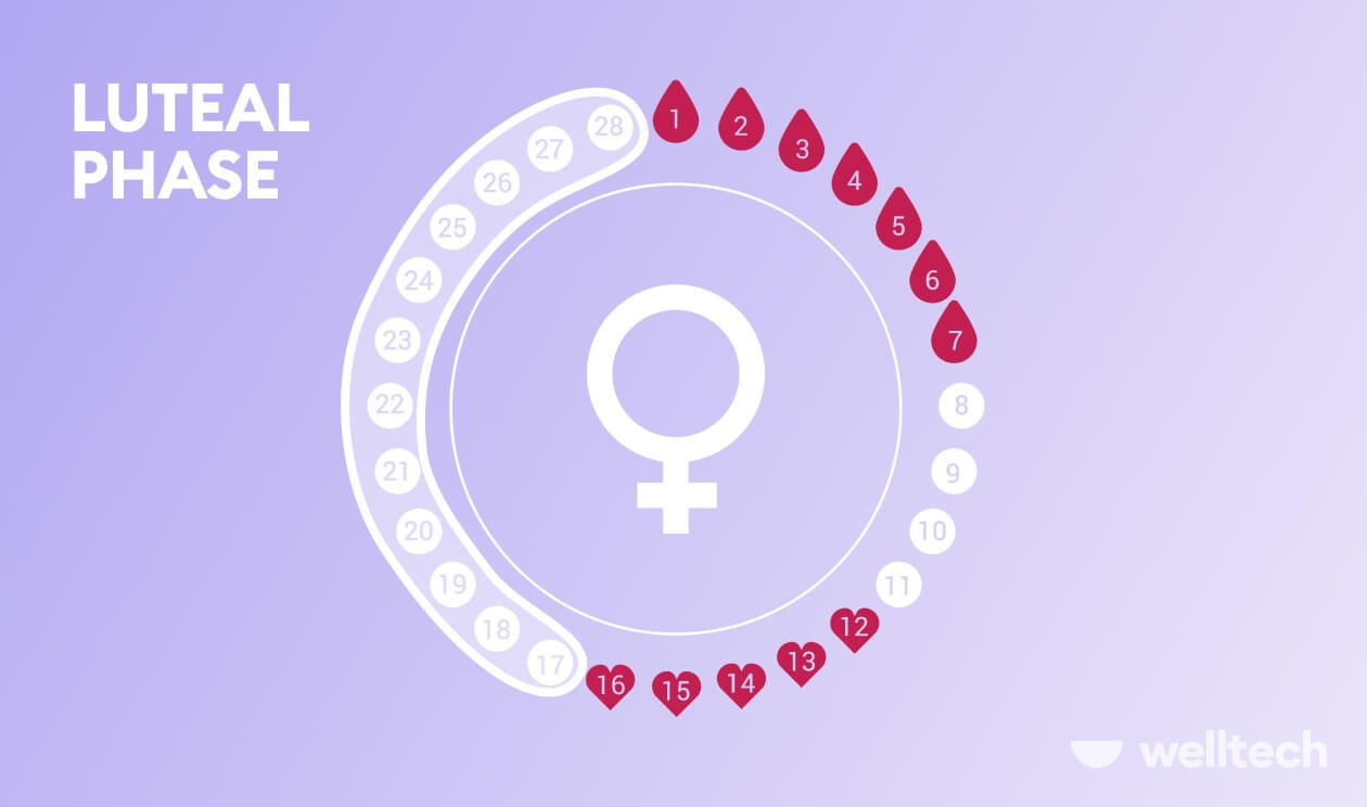 Understanding The Luteal Phase: Symptoms, Mood, And What To Eat