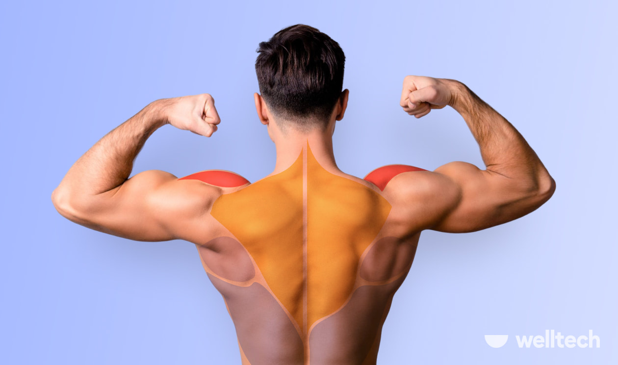 Back and Shoulder Workout to Beef Up Your Upper Body