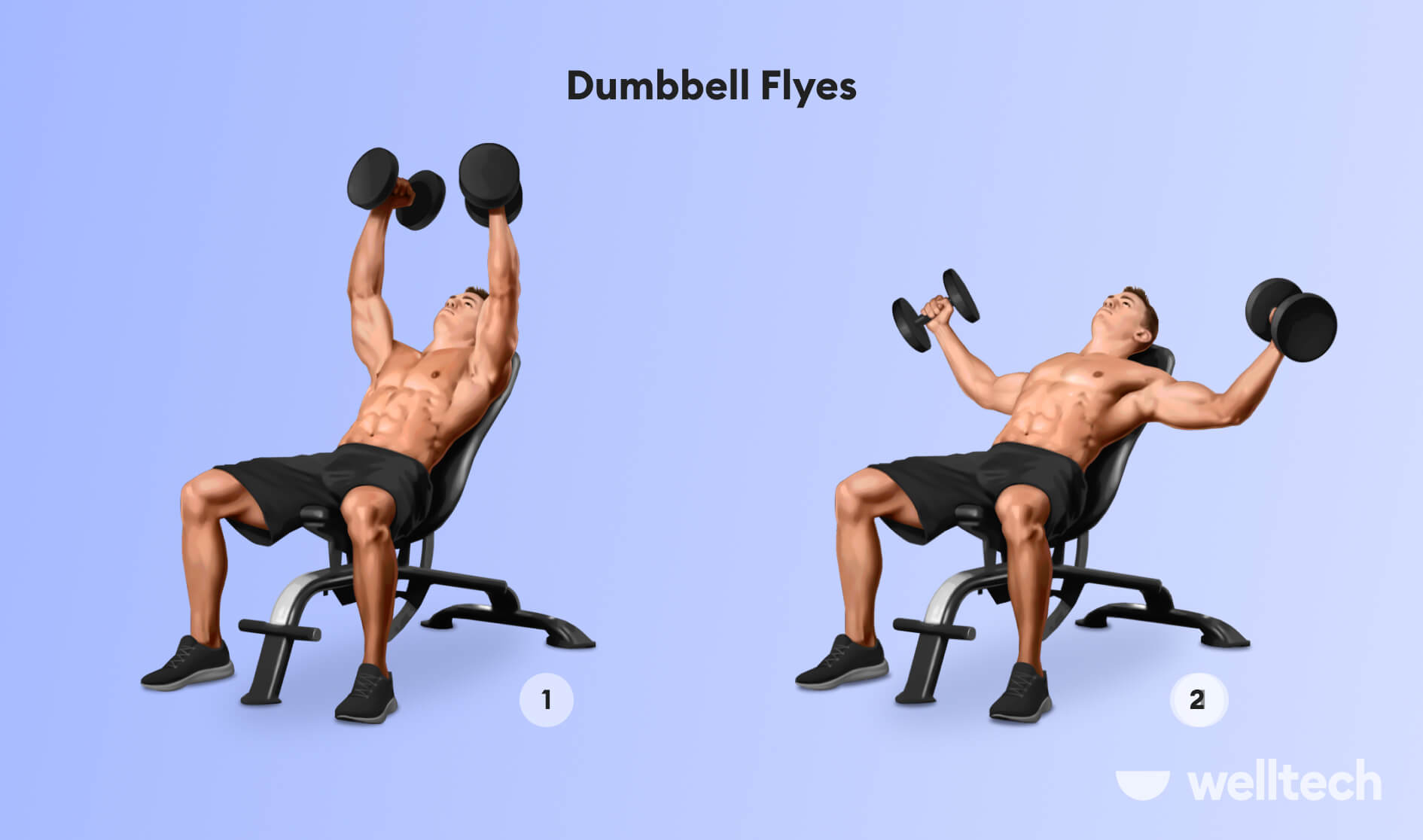 https://welltechdev.wpengine.com/wp-content/uploads/2022/12/Dumbbell-Flyes_inner-chest-workout.jpg