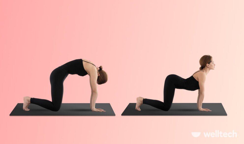 https://welltechdev.wpengine.com/wp-content/uploads/2023/11/cat-and-cow_yoga-for-period-cramps-992x586.jpg