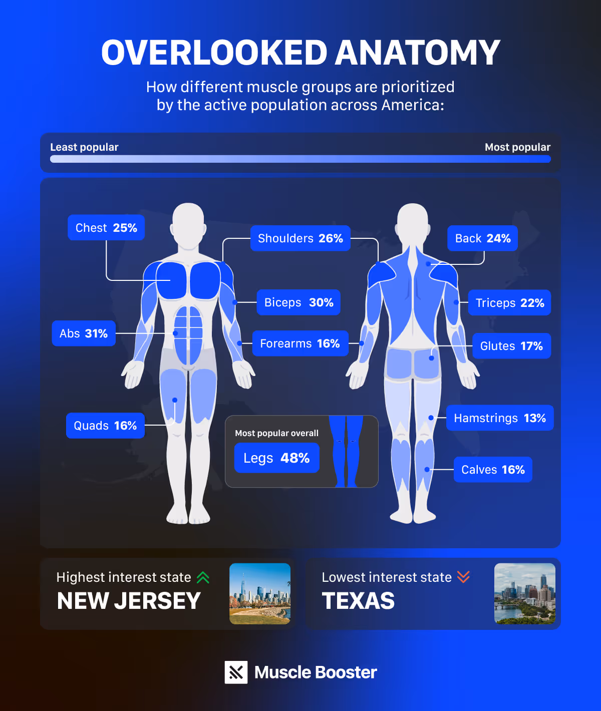 forgotten muscles_overlooked anatomy