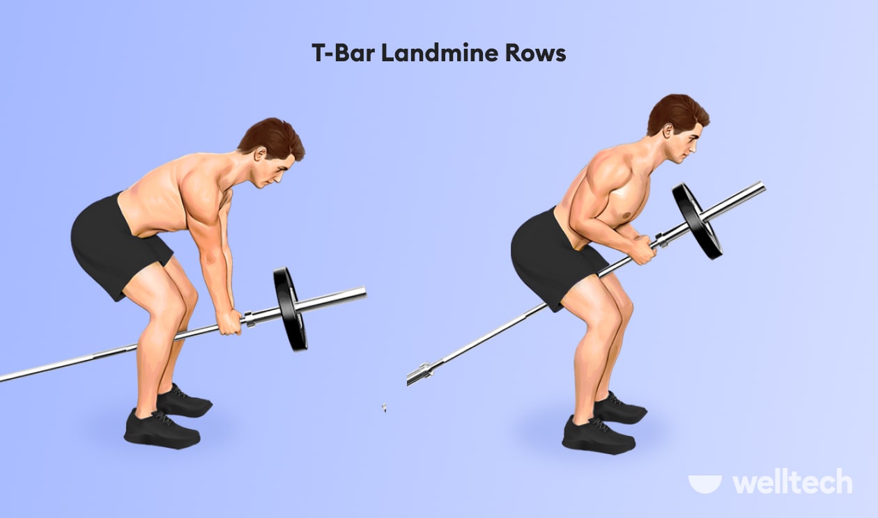 https://welltechdev.wpengine.com/wp-content/uploads/2022/09/t-bar-landmine-rows_meadows-row-min.jpg