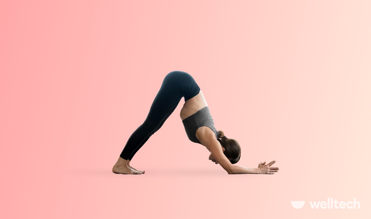 https://welltechdev.wpengine.com/wp-content/uploads/2023/04/3-Dolphin-Pose-Ardha-Pincha-Mayurasana__core-yoga-poses.jpg