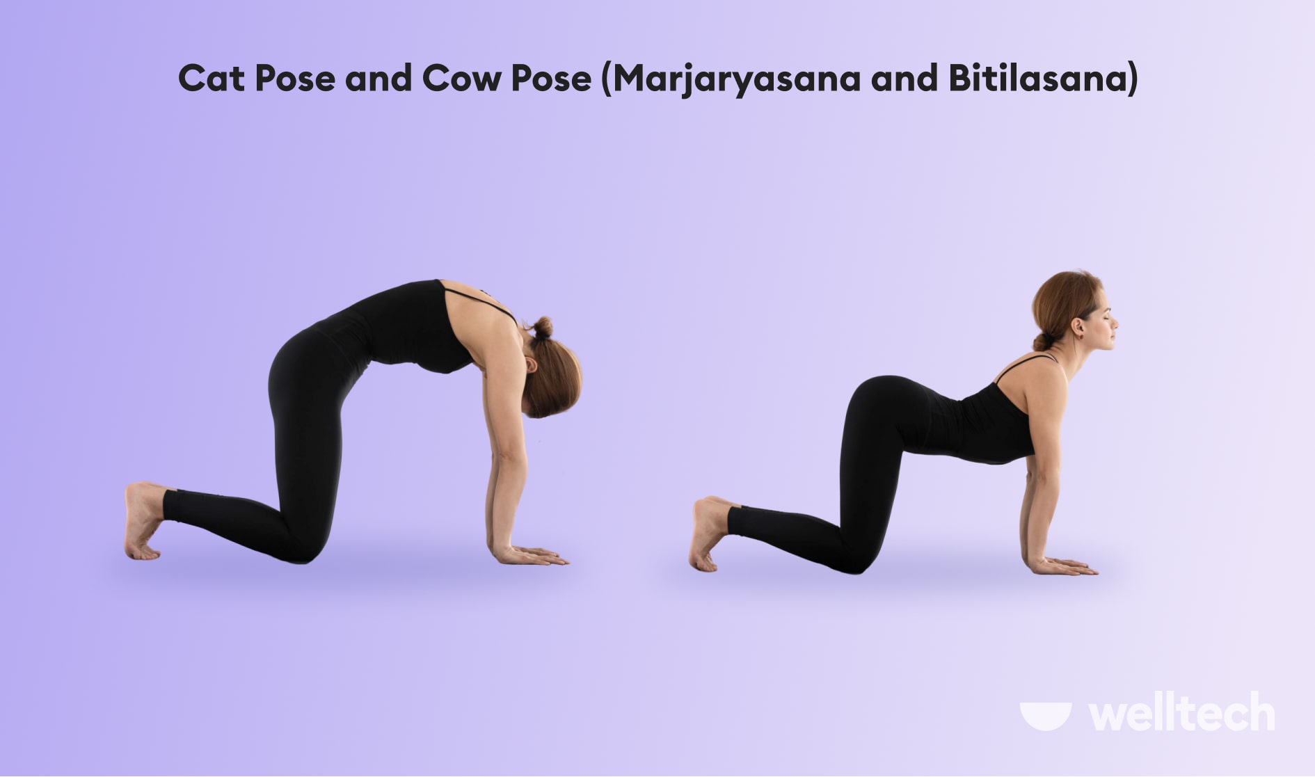 https://welltechdev.wpengine.com/wp-content/uploads/2023/03/Cat-Pose-and-Cow-Pose-Marjaryasana-and-Bitilasana_yoga-with-hernia.jpg