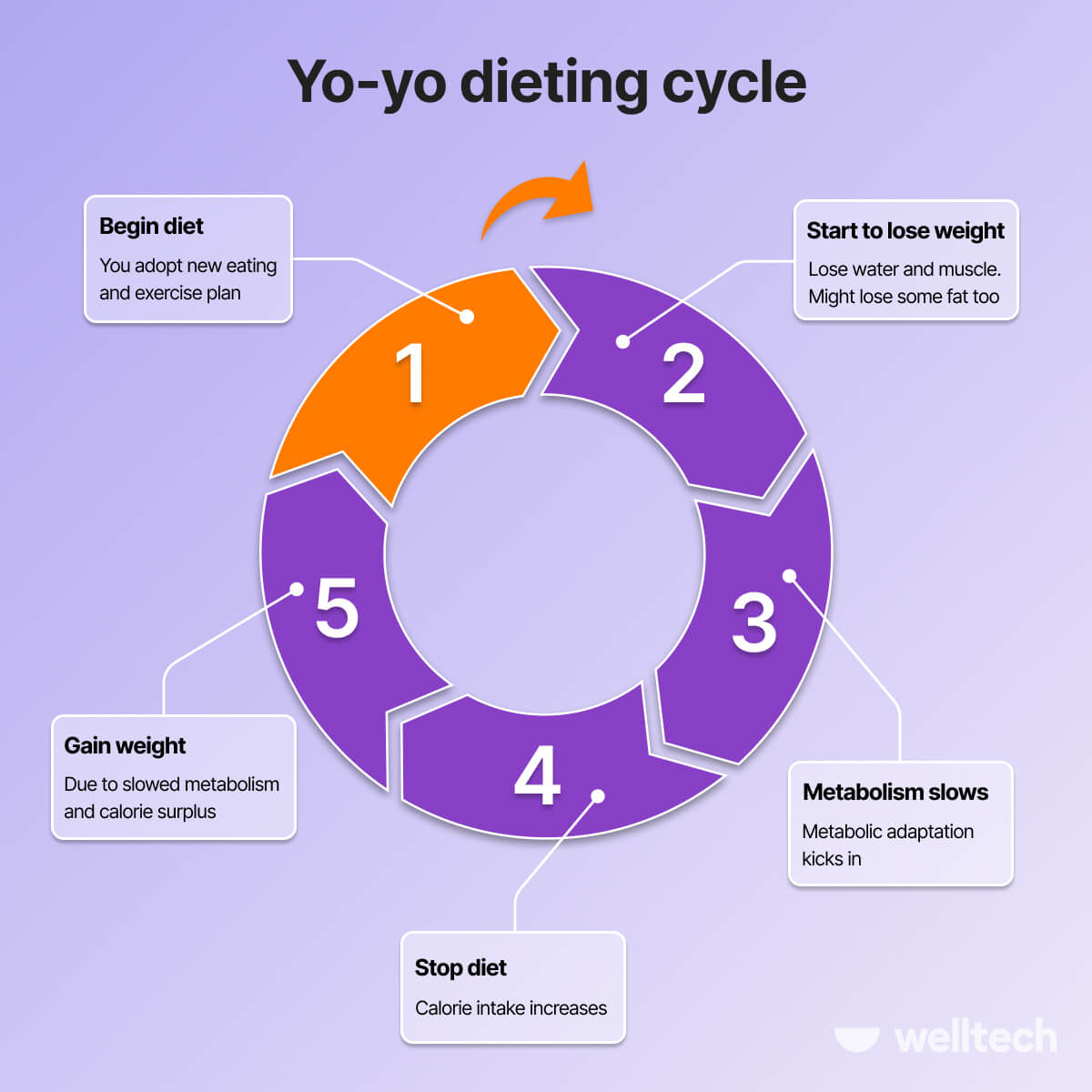 Yo-yo dieting cycle
