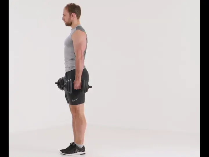 Reverse lunges . Leg Workout with Lower Back Pain . 5 Safe Exercises