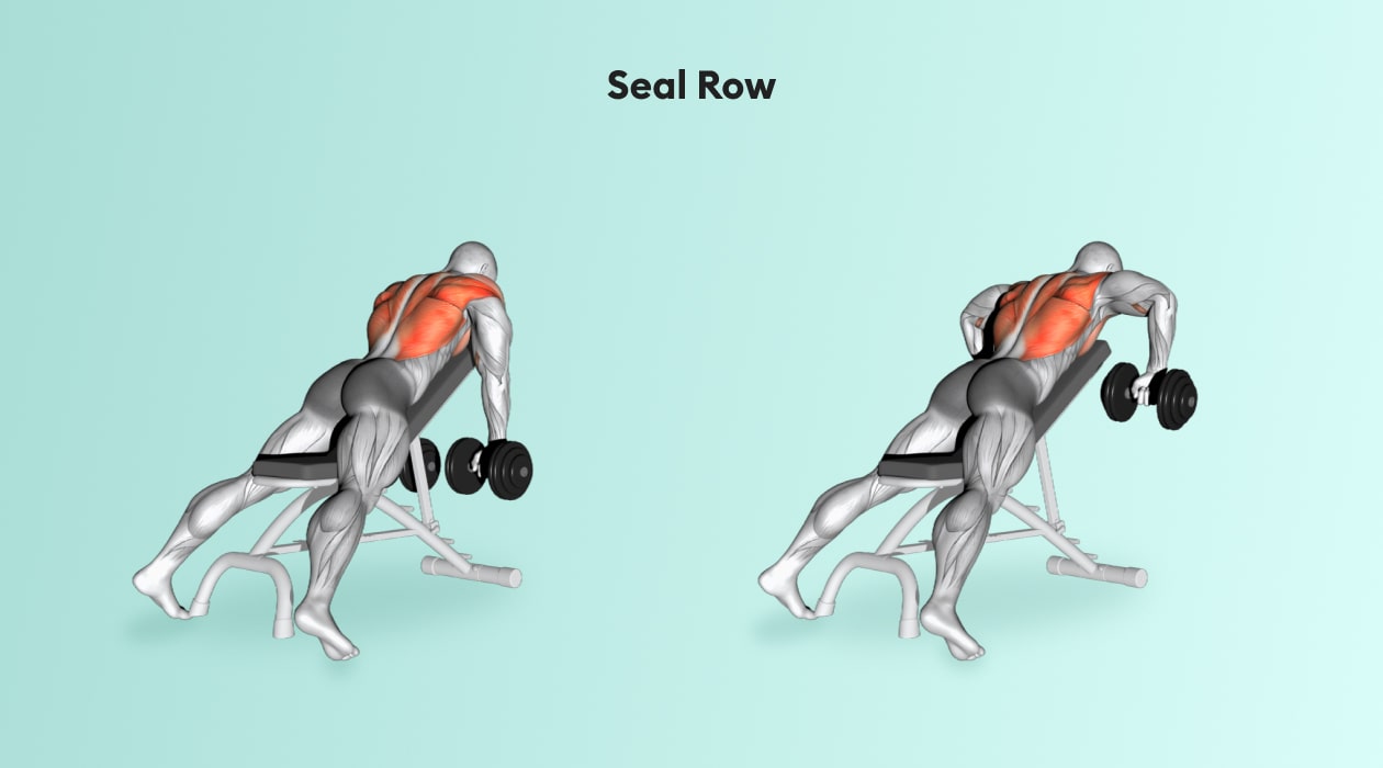 https://welltechdev.wpengine.com/wp-content/uploads/2022/08/seal-row-min.jpg