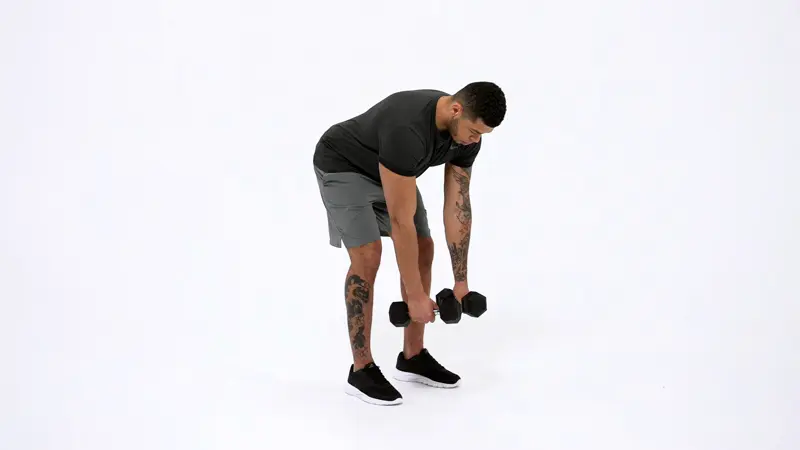 https://welltechdev.wpengine.com/wp-content/uploads/2025/02/Dumbbell-Bent-Over-Row.webp