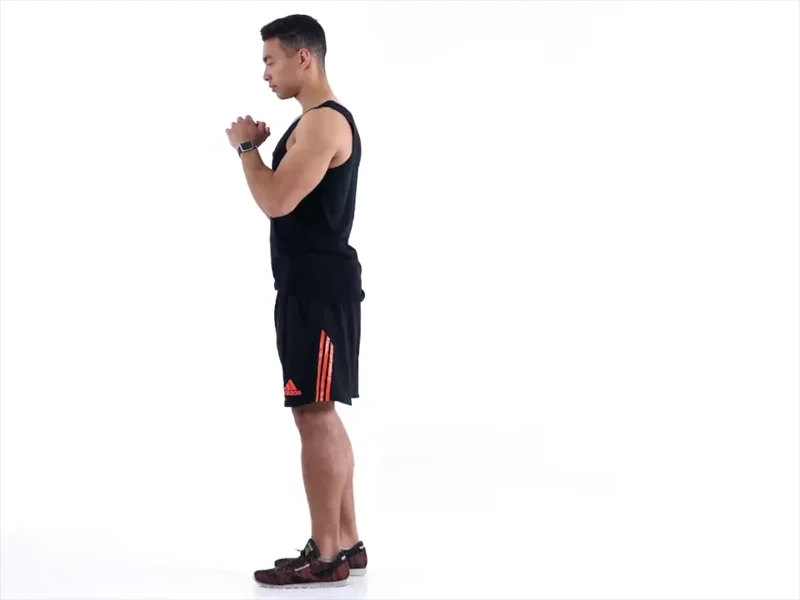 Reverse Lunges . A Beginners Guide to Military Calisthenics