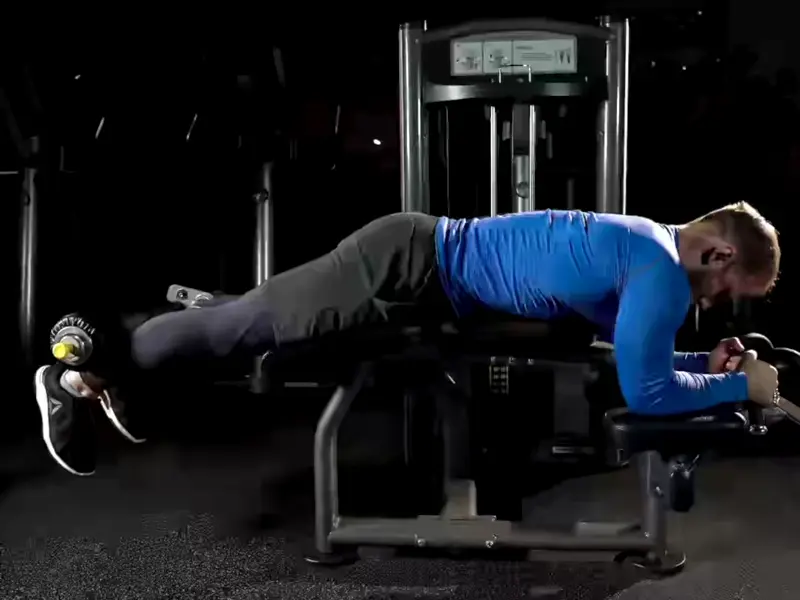 Lying leg curls . Leg Workout with Lower Back Pain . 5 Safe Exercises