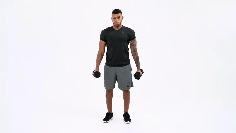 https://welltechdev.wpengine.com/wp-content/uploads/2023/03/Dumbbell_Inner_Bicep_Curl_pull-exercises.webp