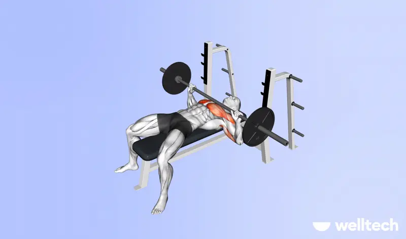 https://welltechdev.wpengine.com/wp-content/uploads/2023/09/barbell_bench_press_push-workouts.webp