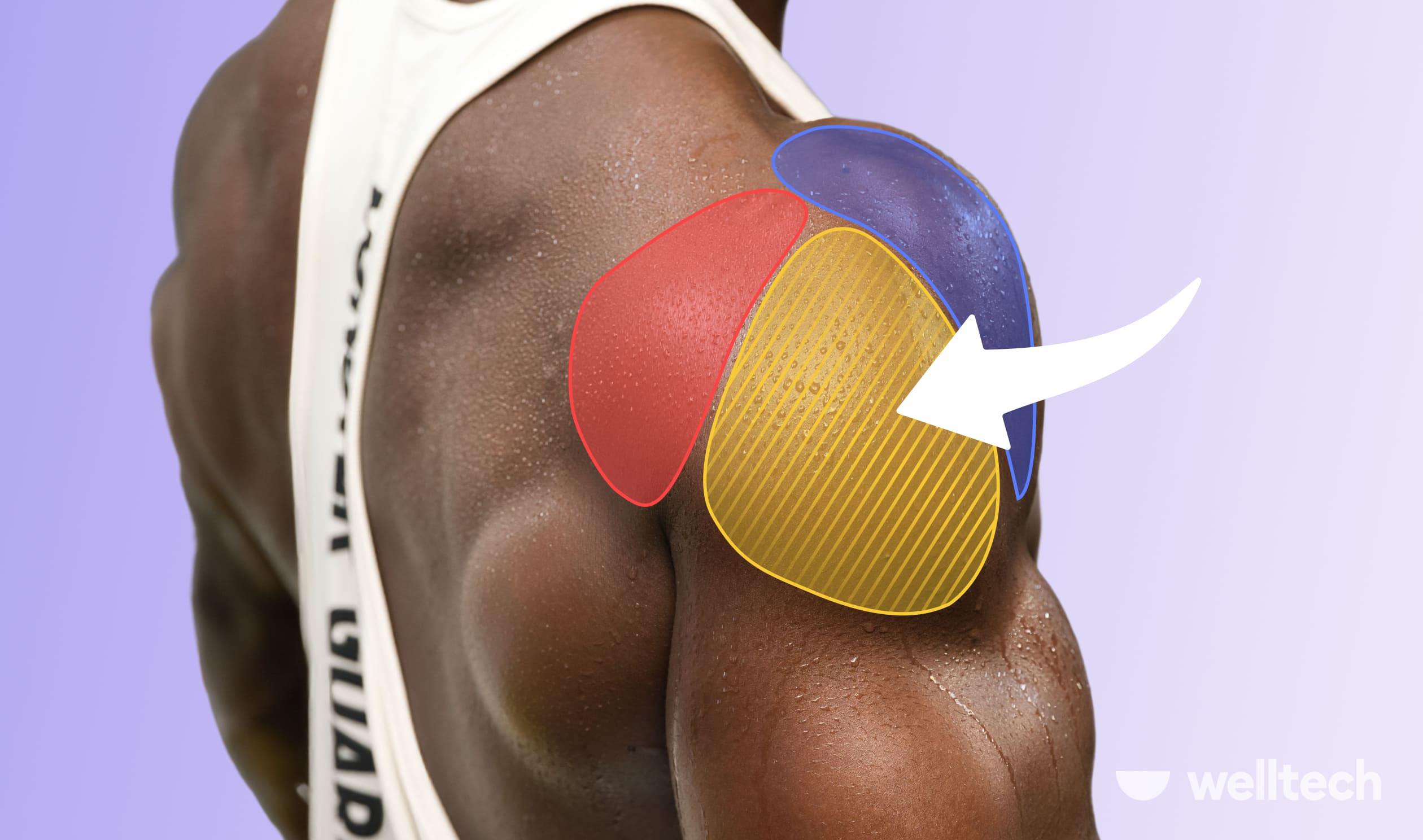 10 Side Delt Exercises (Dumbbells, Plates, and Cables)