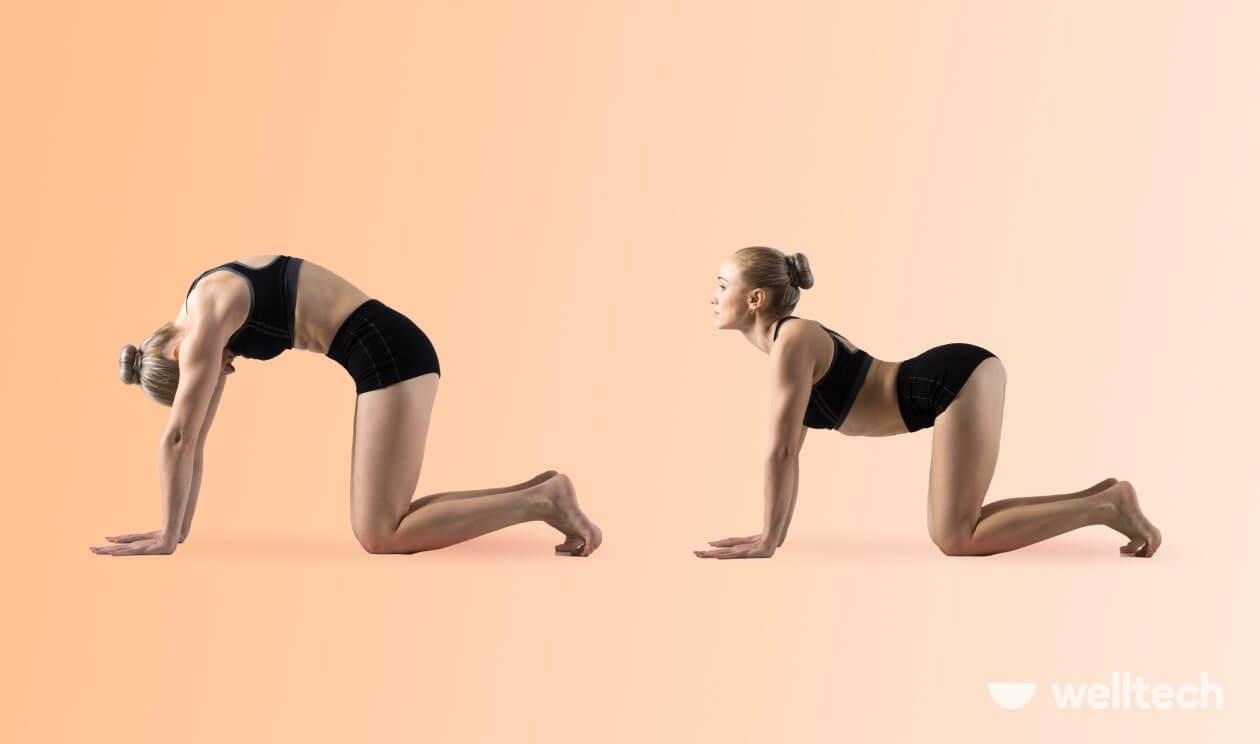 Cat-cow pose 