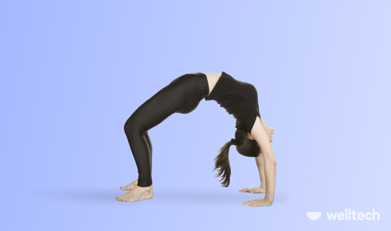 https://welltechdev.wpengine.com/wp-content/uploads/2023/03/Wheel-Pose-Urdhva-Dhanurasana_yoga-inversions.jpg