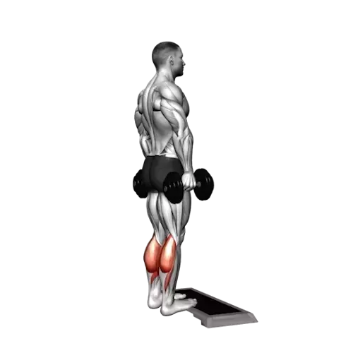 https://welltechdev.wpengine.com/wp-content/uploads/2023/10/4_Calf-raises.webp