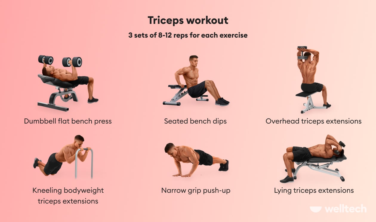 https://welltechdev.wpengine.com/wp-content/uploads/2022/07/triceps-workout-chart-min.jpg