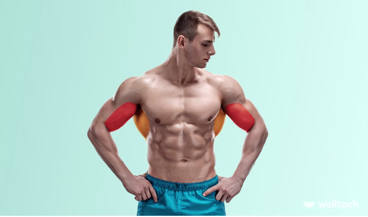 Back and Bicep Workout for Muscle Gain