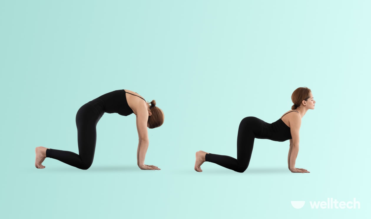 https://welltechdev.wpengine.com/wp-content/uploads/2023/08/10.-Cat-and-Cow-Poses-Marjaryasana-and-Bitilasana_yoga-poses-relaxing.jpg