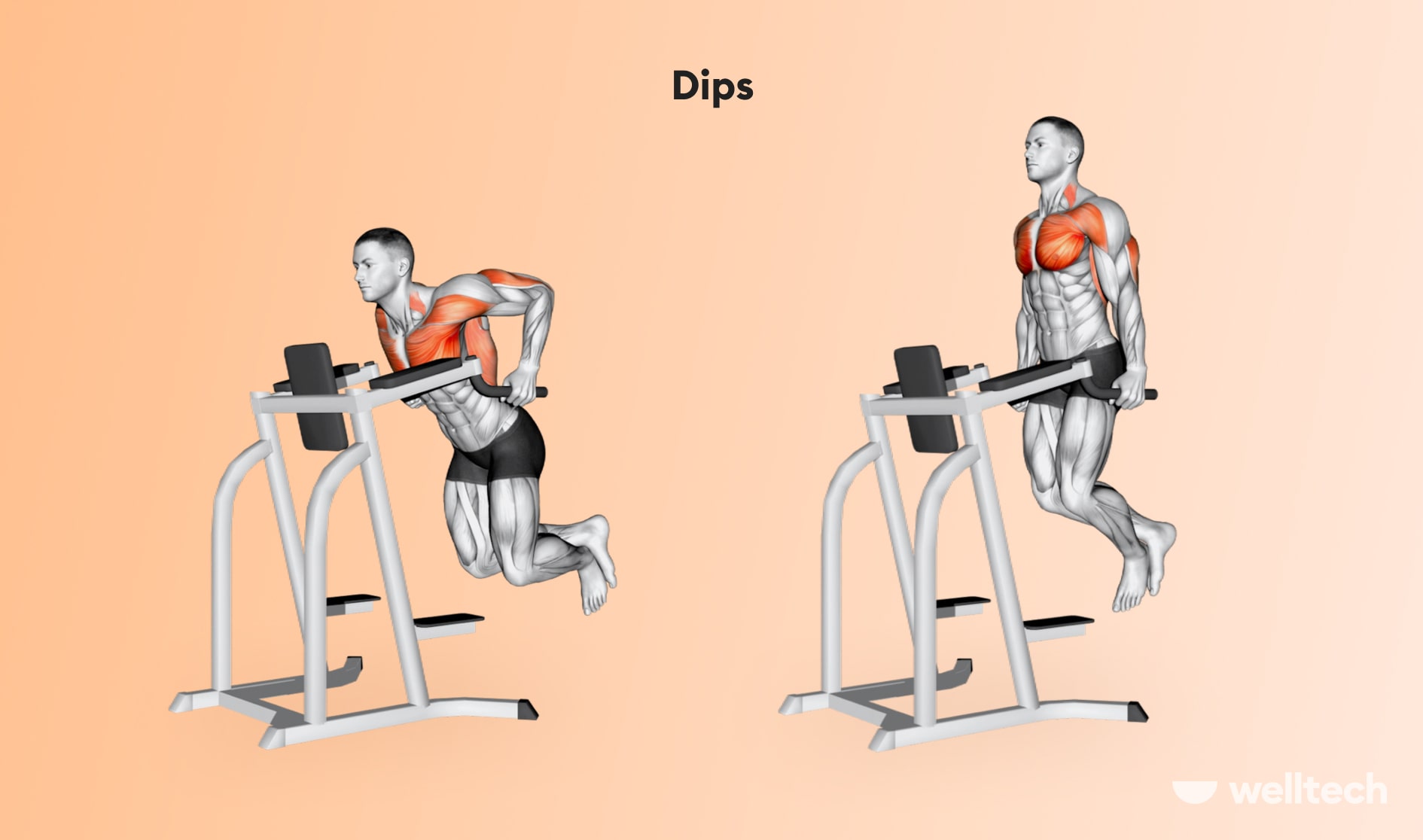https://welltechdev.wpengine.com/wp-content/uploads/2022/12/Dips_chest-and-shoulder-workout.jpg