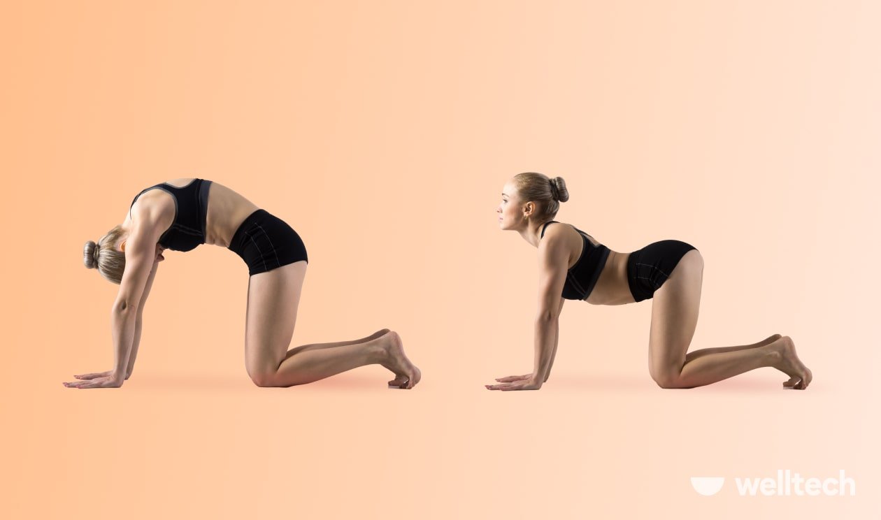 https://welltechdev.wpengine.com/wp-content/uploads/2023/05/Cat-cow_beginning-yoga-for-seniors.jpg