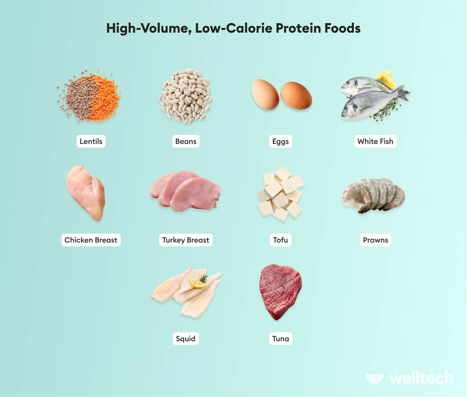 https://welltechdev.wpengine.com/wp-content/uploads/2023/03/high-volume-low-calorie-foods_proteins.jpg