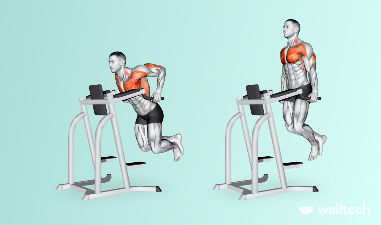 https://welltechdev.wpengine.com/wp-content/uploads/2022/09/Dips_chest-and-bicep-workout.jpg