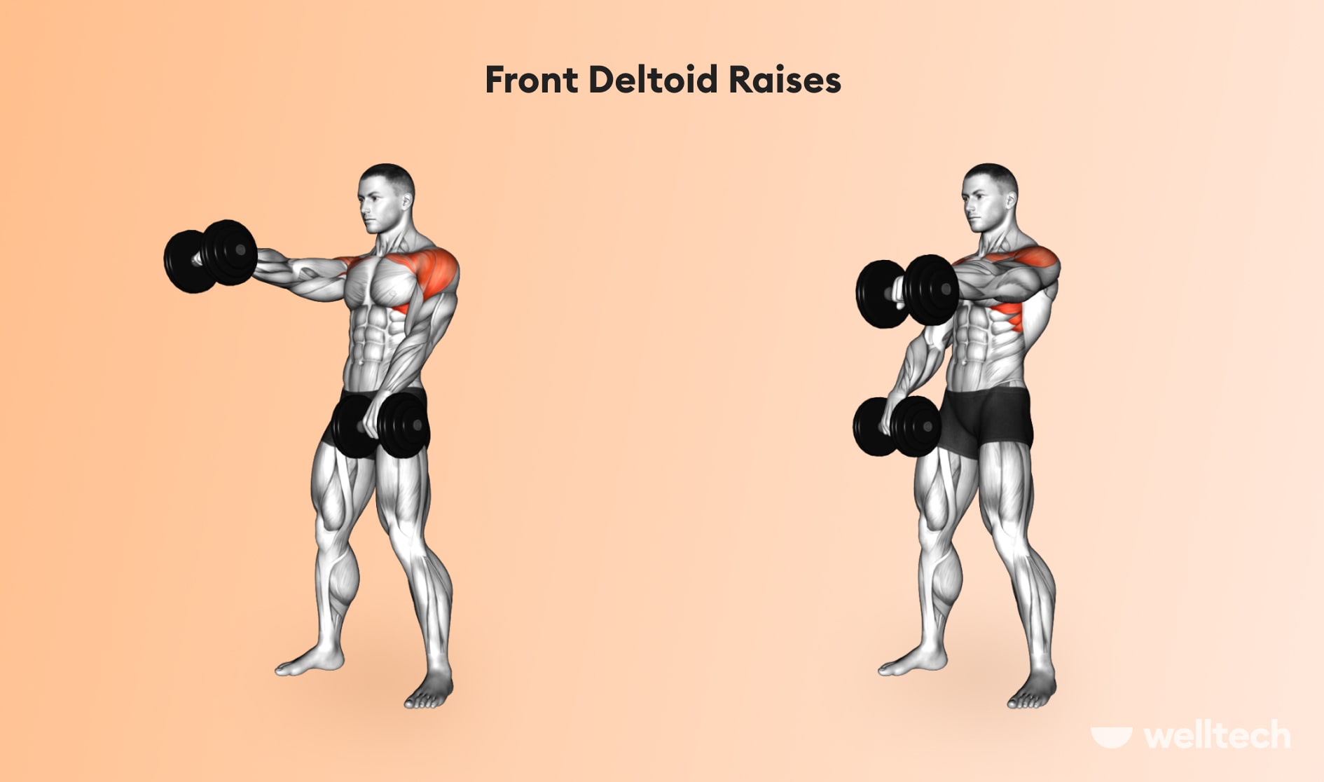 https://welltechdev.wpengine.com/wp-content/uploads/2022/12/Front-Deltoid-Raises_chest-and-shoulder-workout.jpg