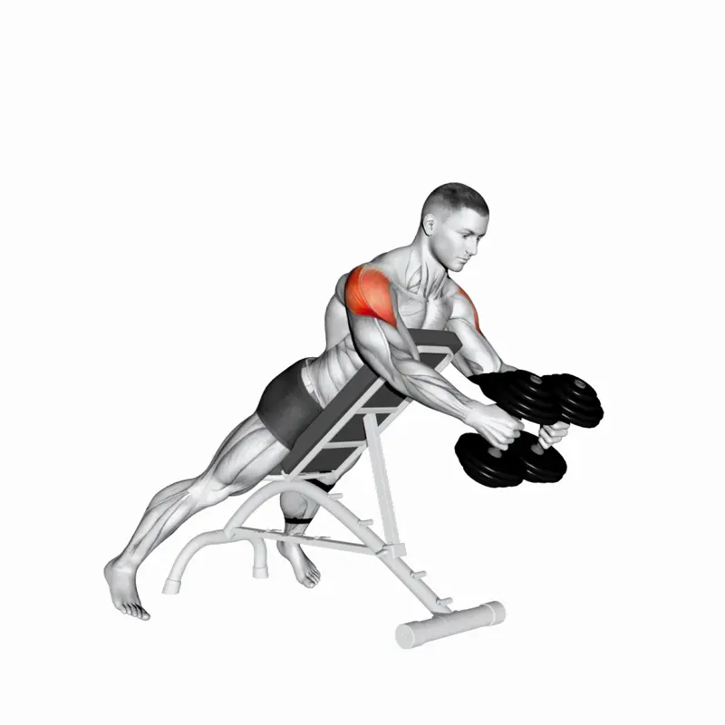 https://welltechdev.wpengine.com/wp-content/uploads/2023/04/rear-delt-fly-incline-bench.webp