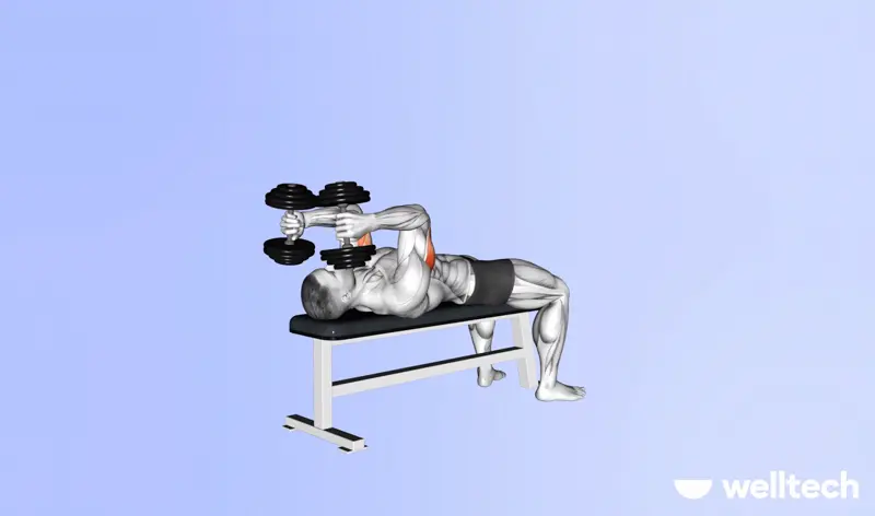 https://welltechdev.wpengine.com/wp-content/uploads/2023/09/skull_crushers_push-workouts.webp