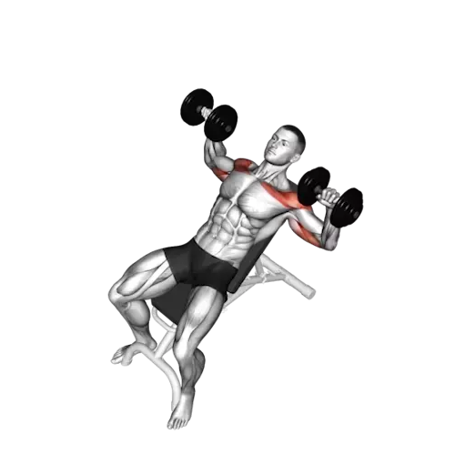 https://welltechdev.wpengine.com/wp-content/uploads/2023/10/7_Bench-press.webp