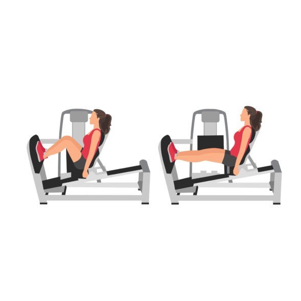 https://welltechdev.wpengine.com/wp-content/uploads/2024/12/Leg-Press-machine-590x590.jpg