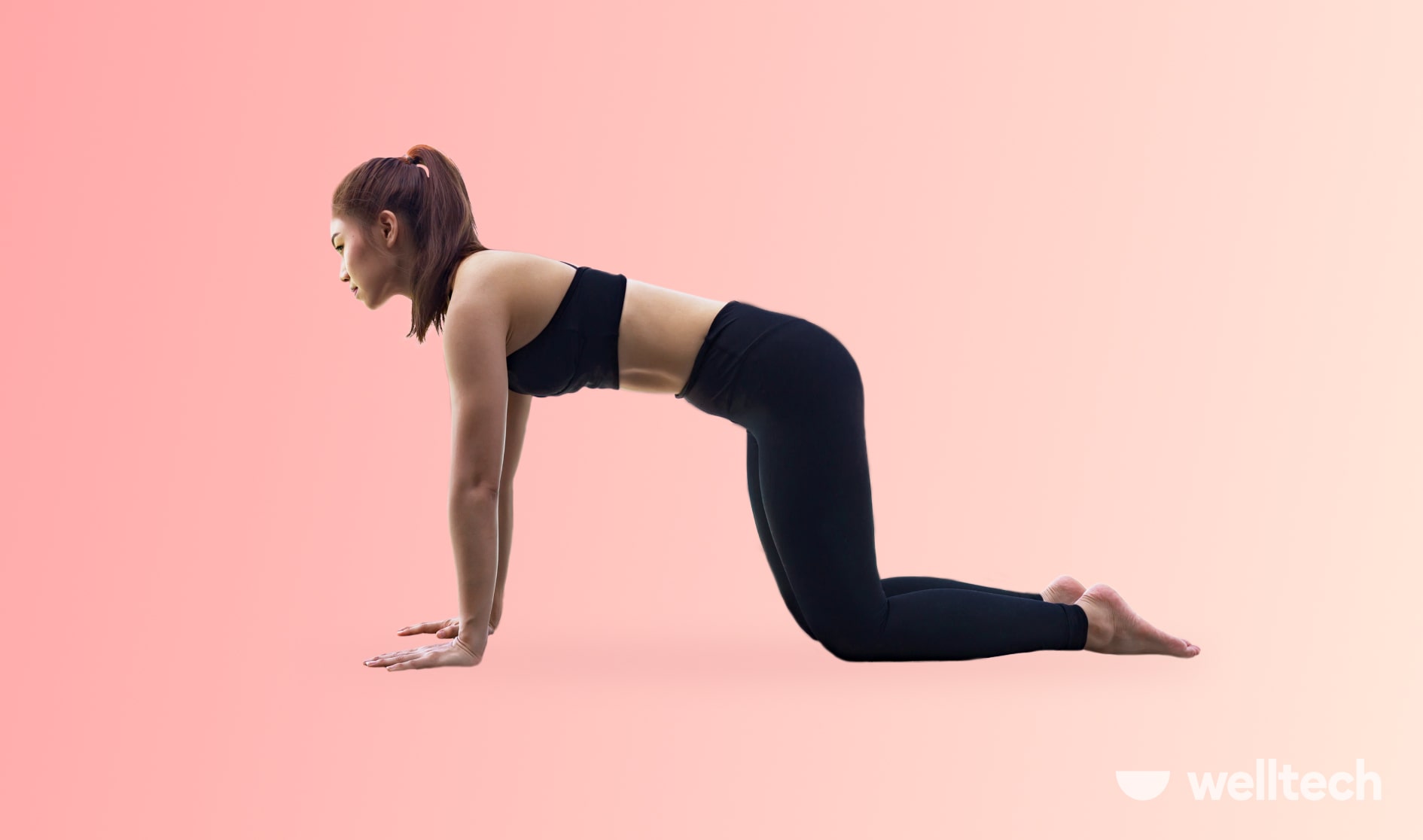 https://welltechdev.wpengine.com/wp-content/uploads/2022/10/1_Table-Top-Pose_yoga-arm-balances.jpg
