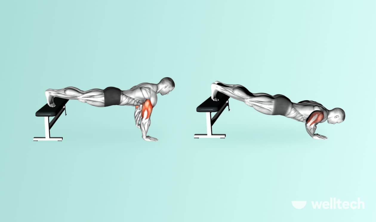 https://welltechdev.wpengine.com/wp-content/uploads/2022/11/1.-Decline-Push-Ups_front-delt-exercises.jpg