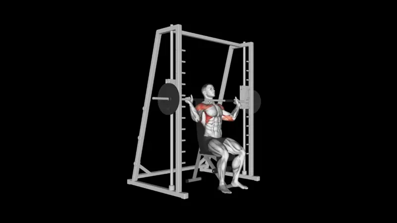 Smith Machine Wide Grip Shoulder Press . Weight Loss Gym Routine for Beginners