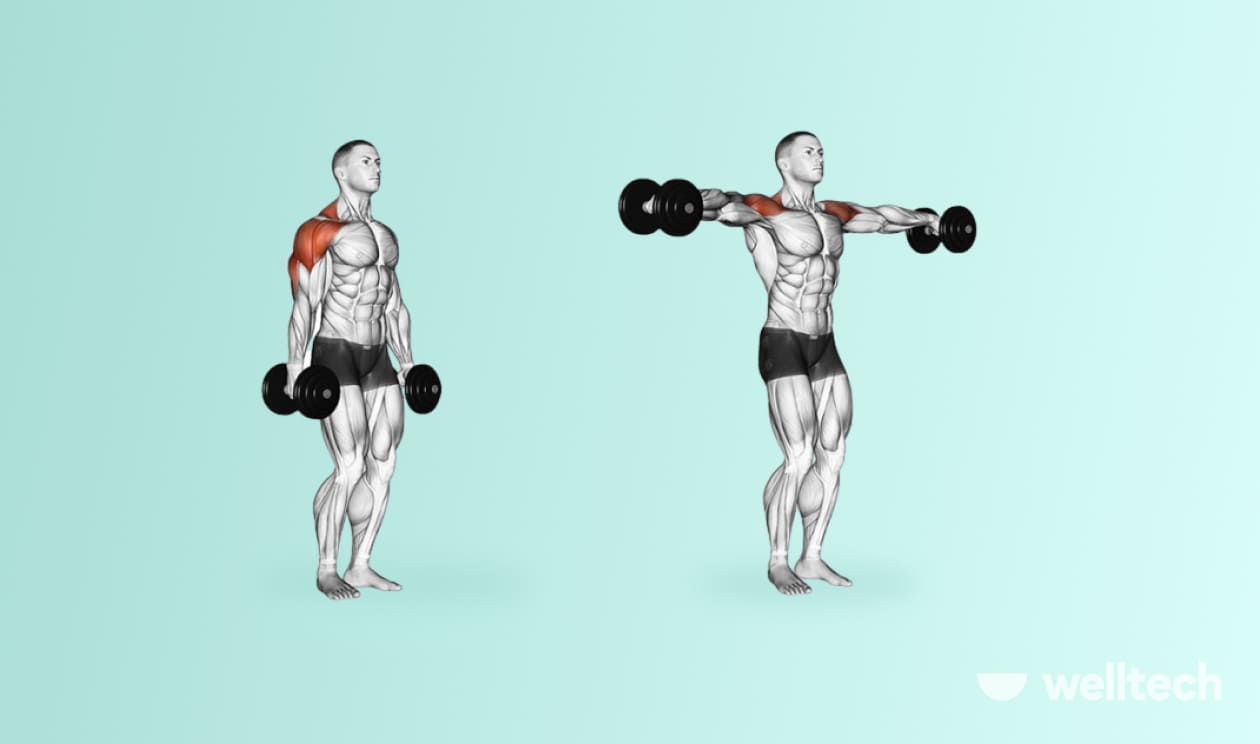 https://welltechdev.wpengine.com/wp-content/uploads/2022/11/2.-Dumbbell-Lateral-Raise_front-delt-exercises.jpg