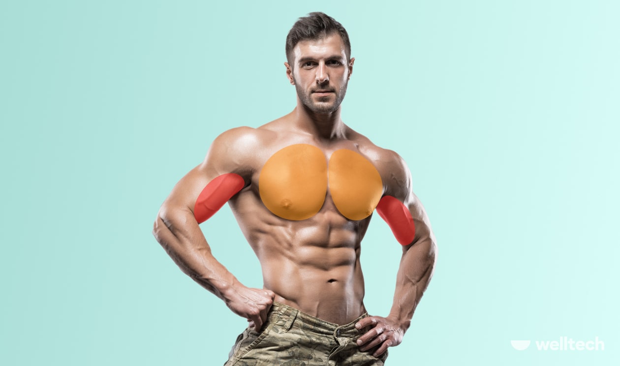 The Ultimate Chest and Bicep Workout to Feel the Pump