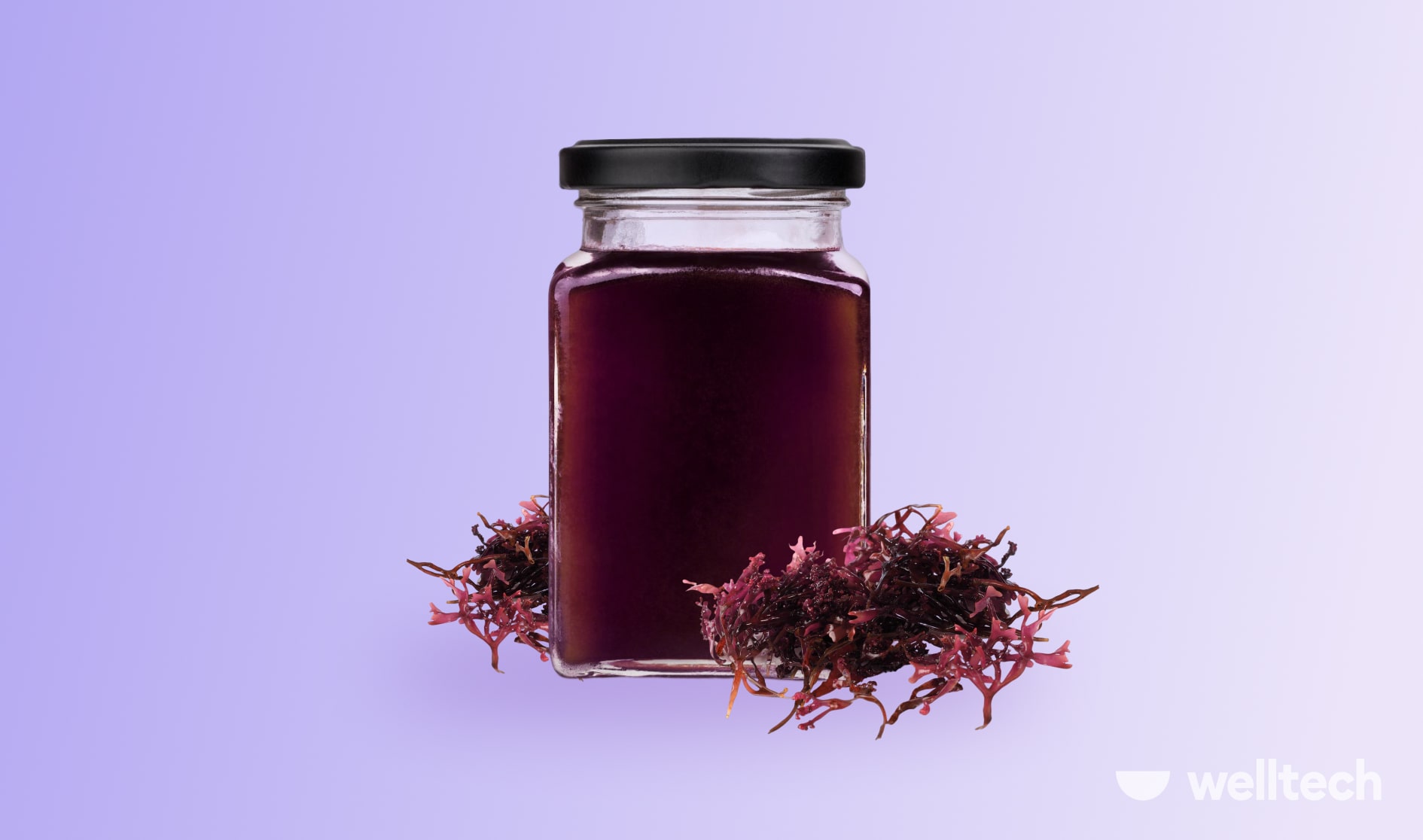 Should I Eat Sea Moss for Weight Loss?