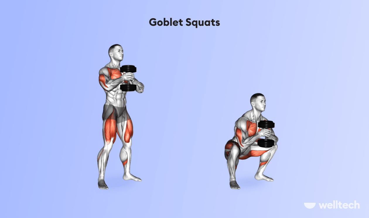 https://welltechdev.wpengine.com/wp-content/uploads/2022/08/4_Goblet_Squats-min.png