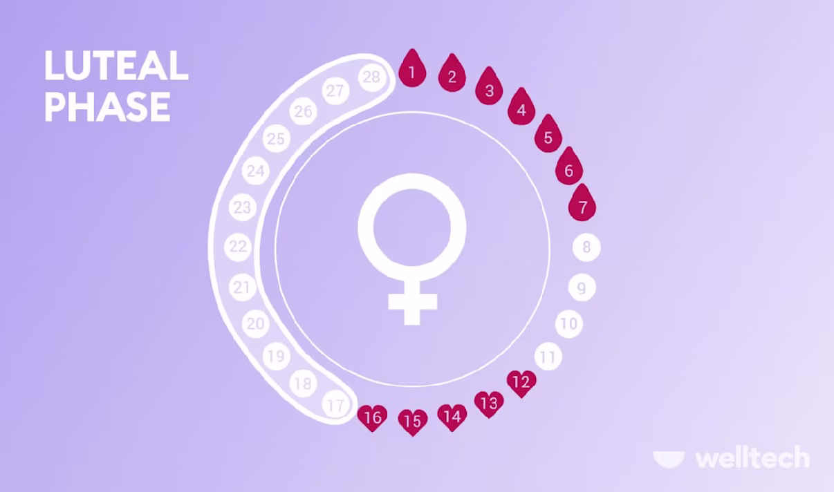 Understanding The Luteal Phase: Symptoms, Mood, And What To Eat