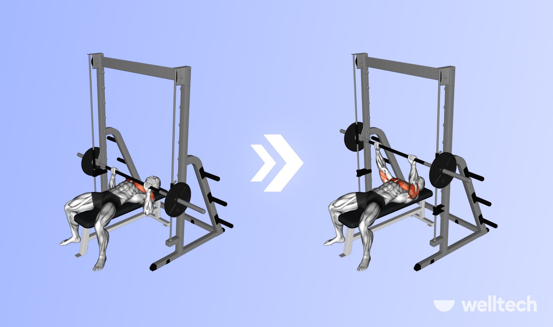 Smith Machine Bench Press: Is It Right for You?