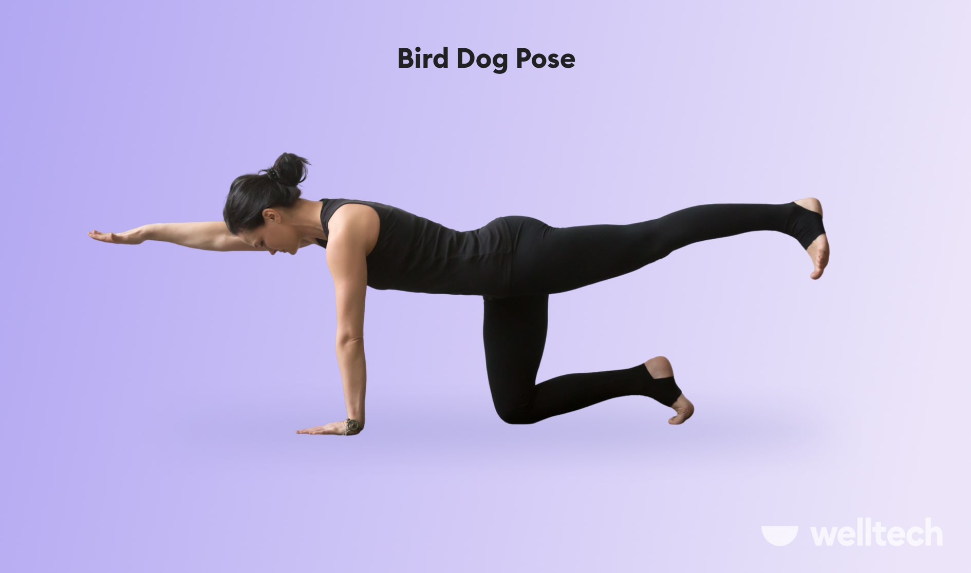 https://welltechdev.wpengine.com/wp-content/uploads/2023/08/Bird_Dog_Pose_yoga-for-posture.jpg