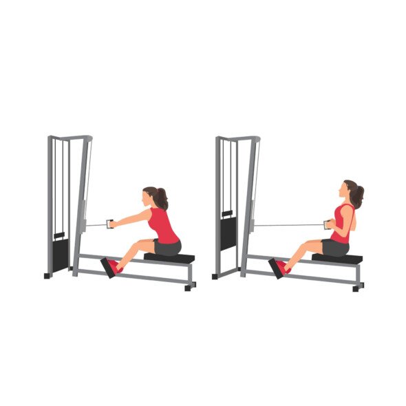 https://welltechdev.wpengine.com/wp-content/uploads/2024/12/Seated-row-machine-590x590.jpg