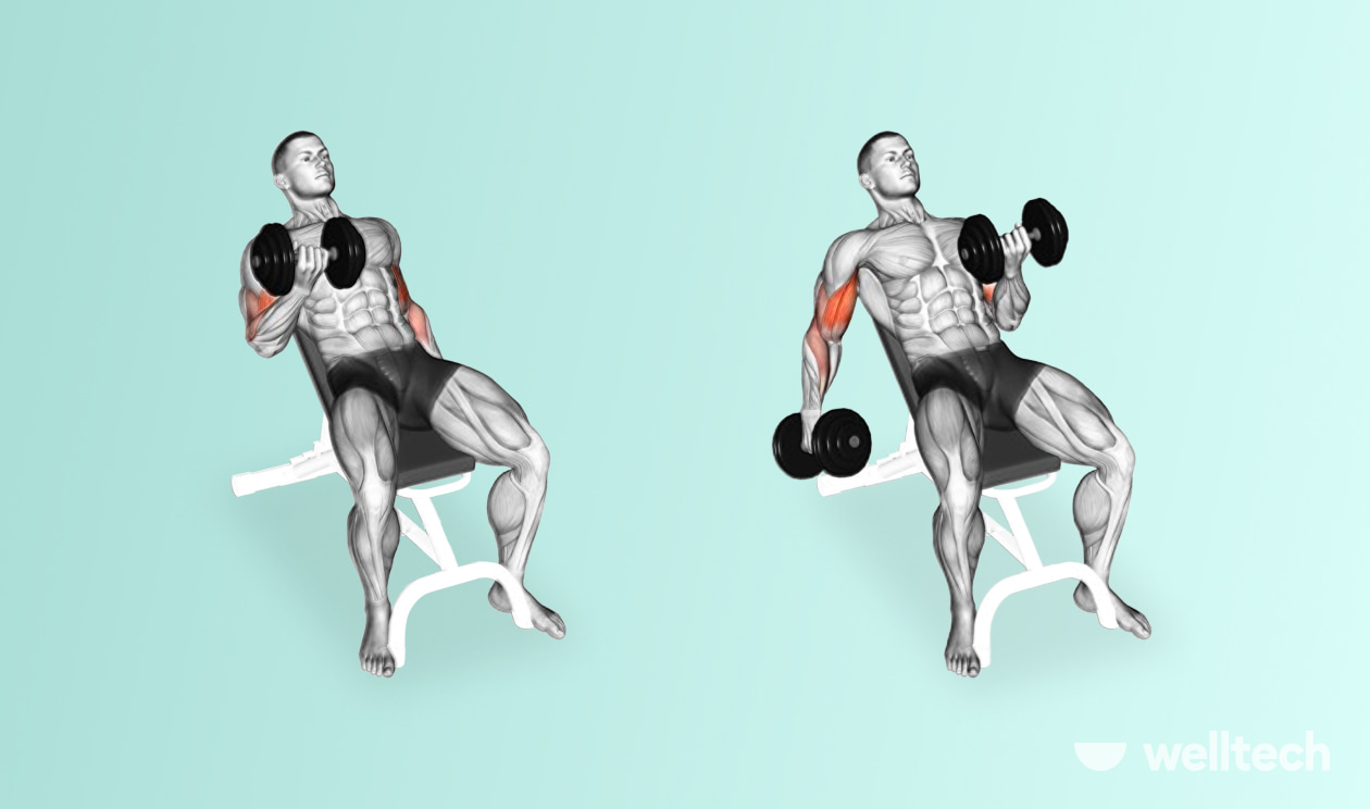 https://welltechdev.wpengine.com/wp-content/uploads/2022/09/Alternating-Incline-Dumbbell-Curl_chest-and-bicep-workout.jpg