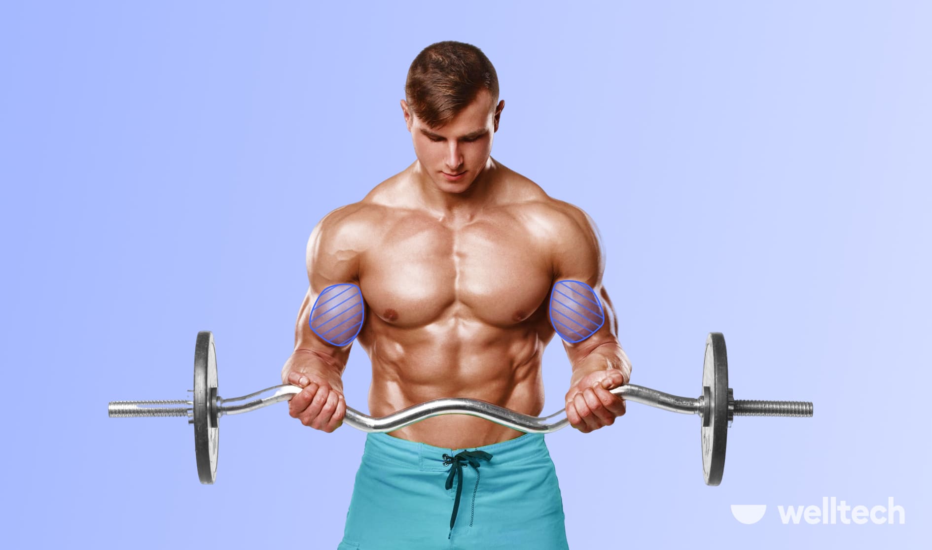 9 Short Head Bicep Exercises for Massive Arms
